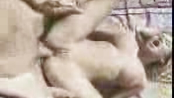 דריל האנה יודע איך להירגע סרט כחול לצפיה חינם גבר